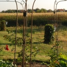 Charmehotel De stokerij te Oudenburg, West-Vlaanderen - Overnachten nabij Brugge, Oostende en De Haan